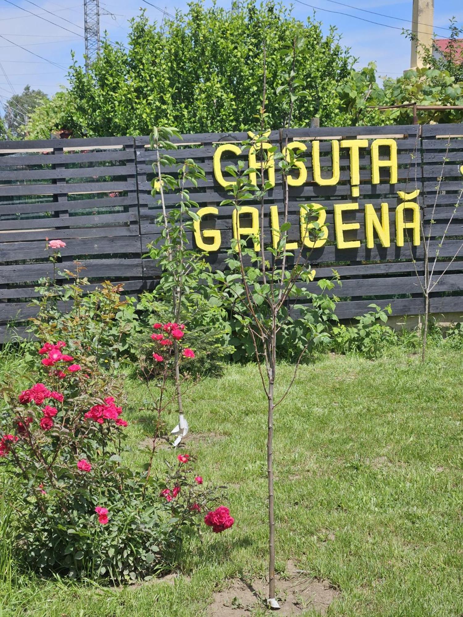 Villa Casuta Galbena à Eforie Nord Extérieur photo